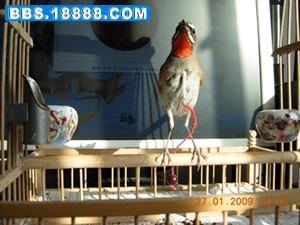 DSCN1120.JPG
