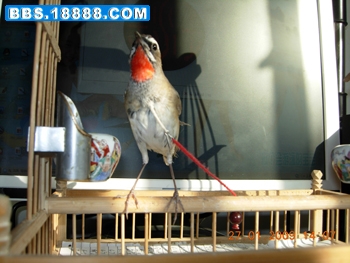 DSCN1122.JPG