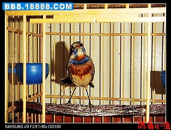 nEO_IMG_nEO_IMG_S73F2333.jpg