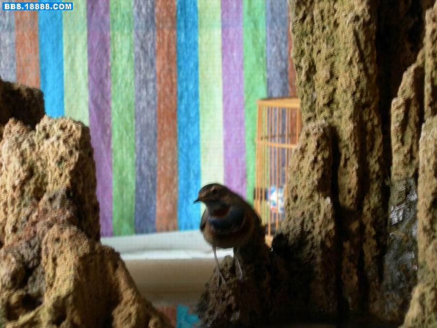 DSCN1230.jpg