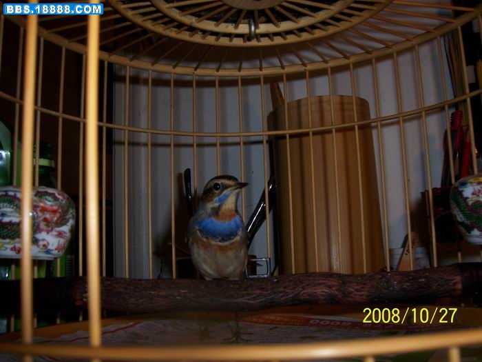 100_7627.jpg