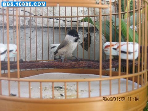 IMG_0085.jpg