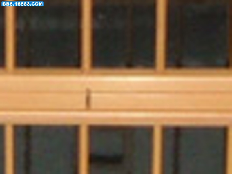 照片 205.jpg