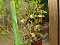 DSC01545.JPG