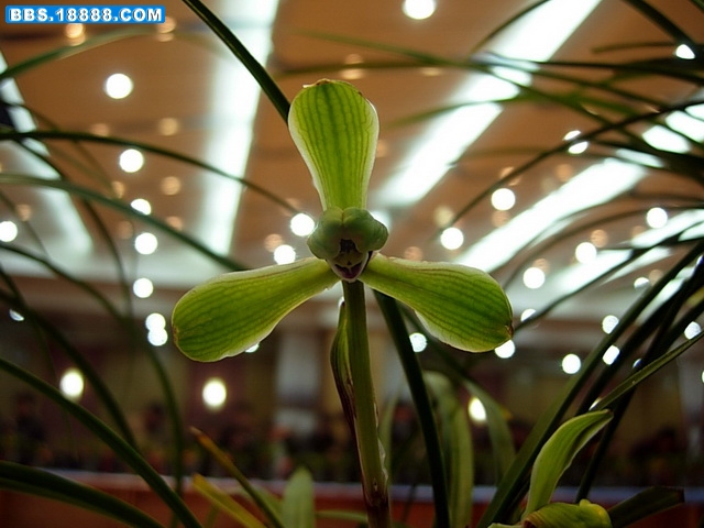 DSCN8627.jpg