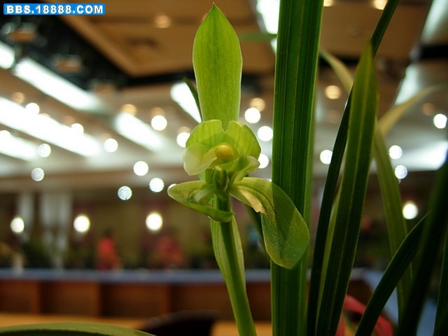 DSCN8597.jpg