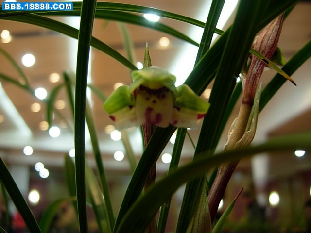 DSCN8639.jpg