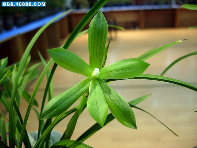 DSCN8614.jpg