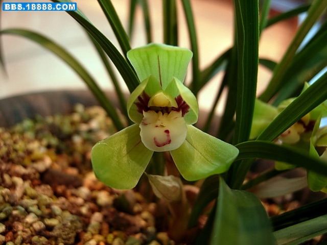 DSCN8610.jpg