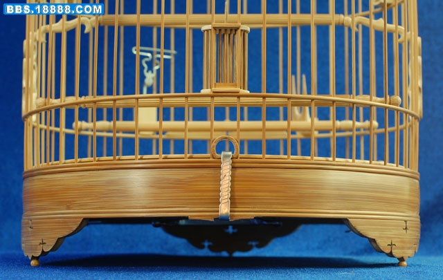 照片 255.jpg