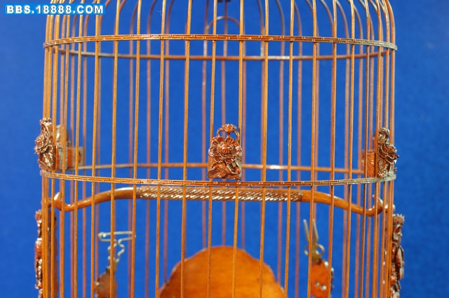 照片 140.jpg