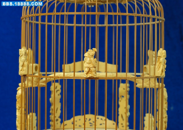 照片 142.jpg