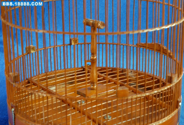 照片 100.jpg