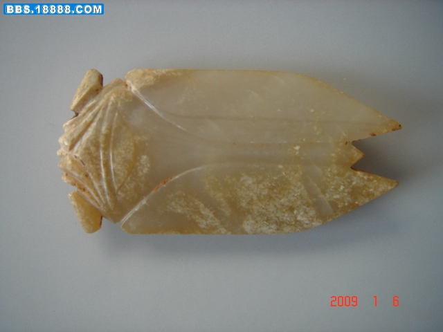 20090206_fe177a2be57f2e9b96c1z8VHZ4sU1Ncs.jpg