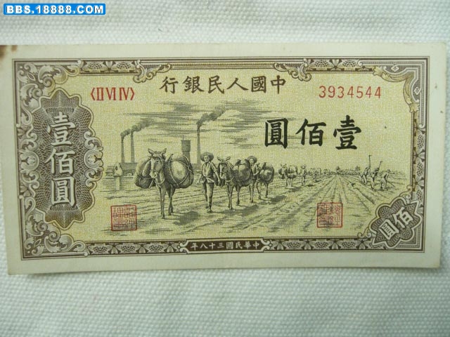 CIMG2007.JPG