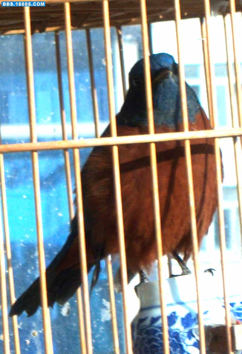 100_0611.jpg
