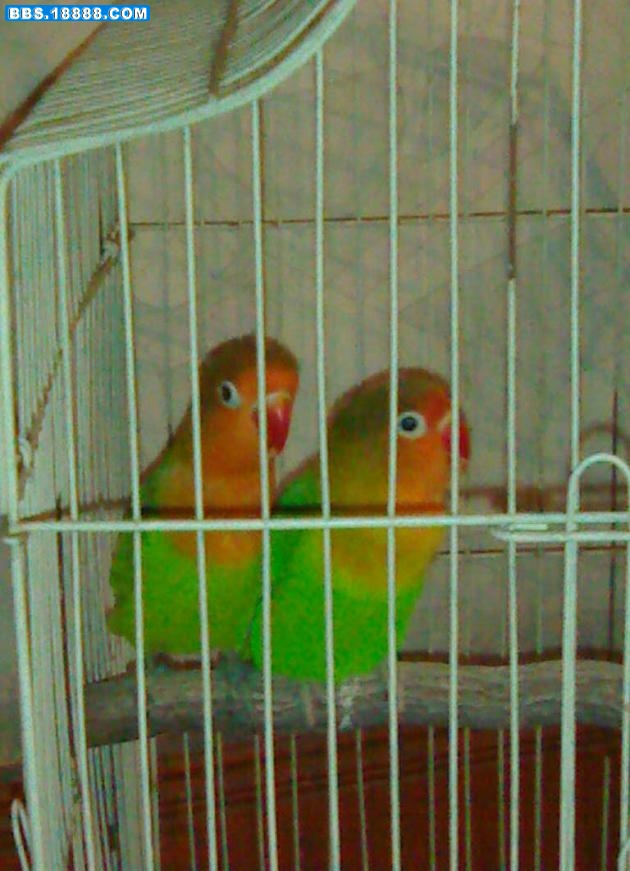23022009466.jpg