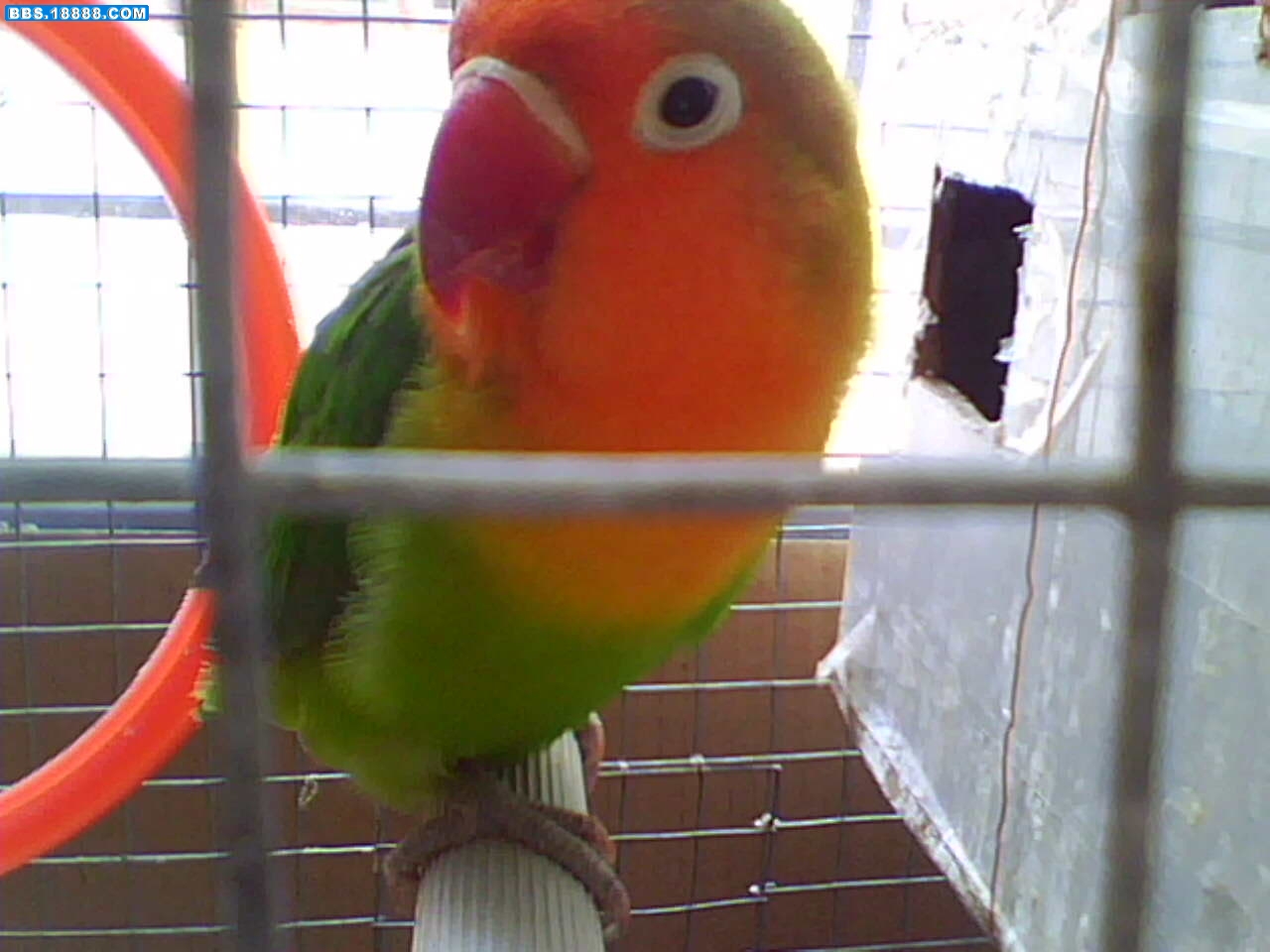 IMG1357A.jpg