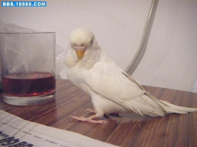 １０.JPG