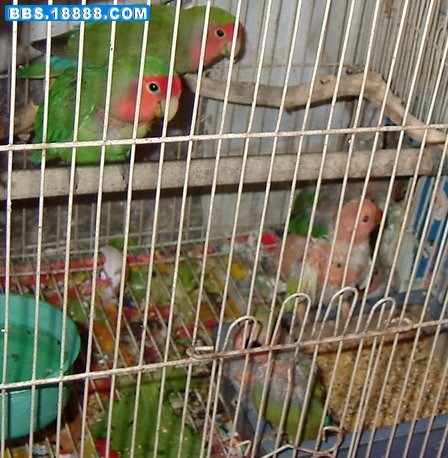 DSCF0559.jpg