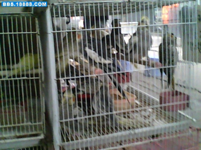 IMG0067A.jpg