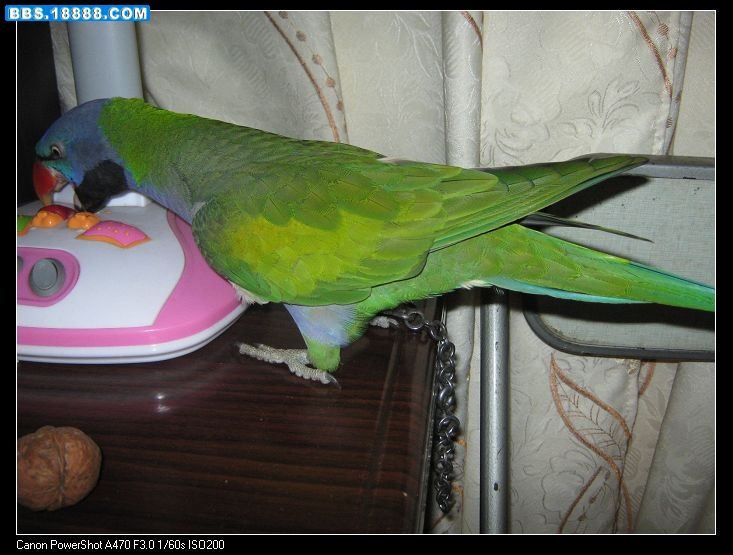 nEO_IMG_IMG_0130.jpg