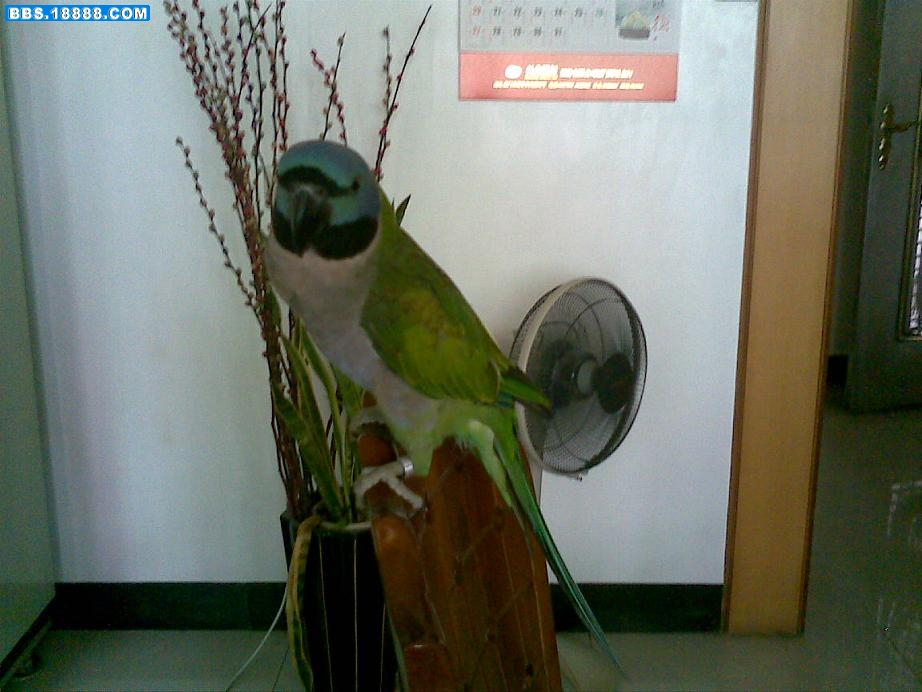 20080709(004).jpg