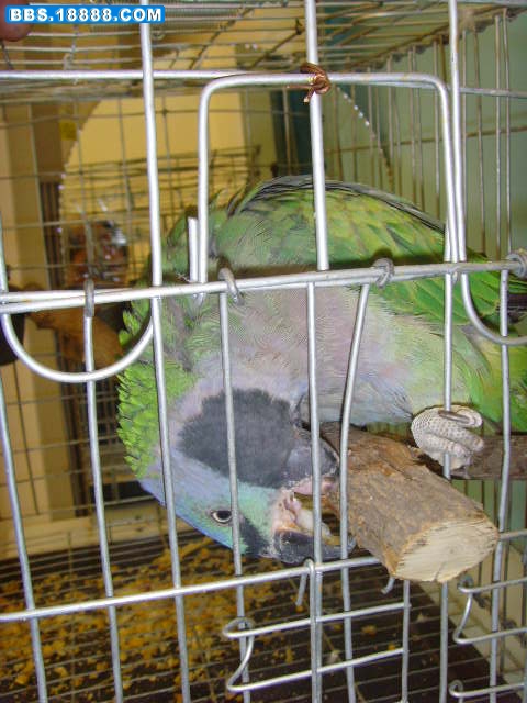 SNV35650.JPG