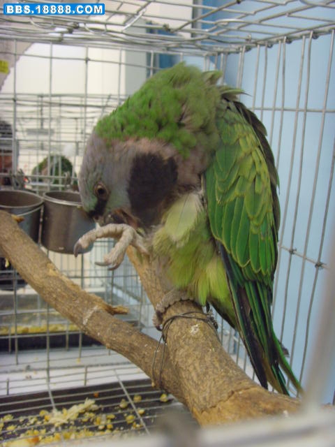 SNV35683.JPG