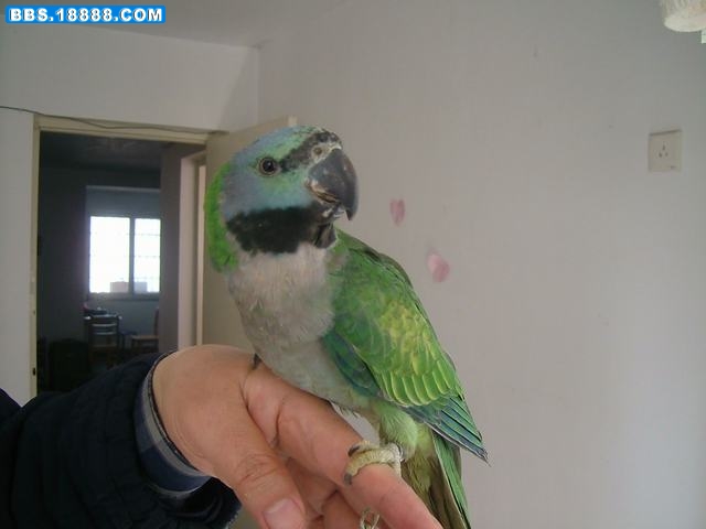 DSCF1845.JPG