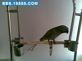 20090131(003).jpg