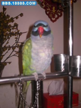 PICT1422.JPG