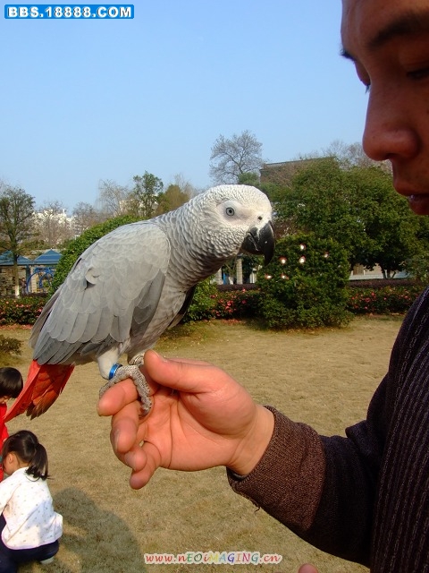 照片 040.jpg