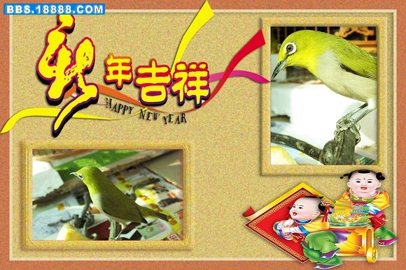 照片 128_edited.jpg