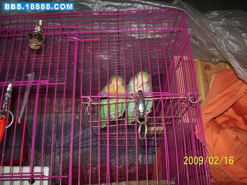 100_5022.jpg