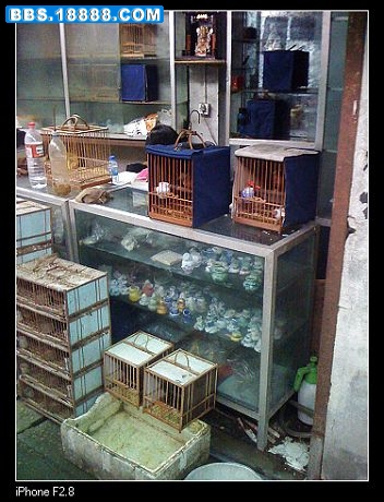 nEO_IMG_照片 080.jpg