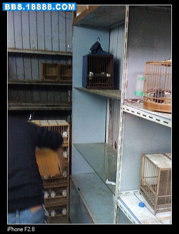 nEO_IMG_照片 049.jpg