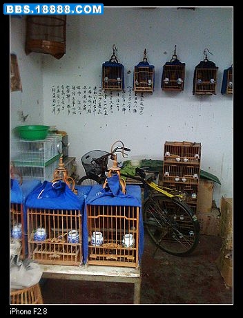 nEO_IMG_照片 005.jpg