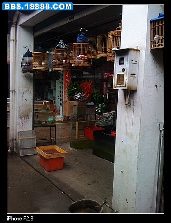 nEO_IMG_照片 019.jpg