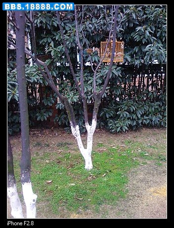 nEO_IMG_照片 033.jpg
