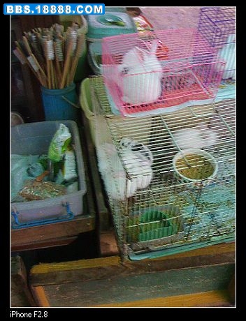 nEO_IMG_照片 024.jpg