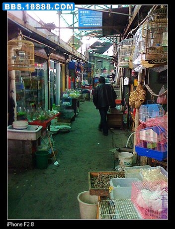 nEO_IMG_照片 066.jpg