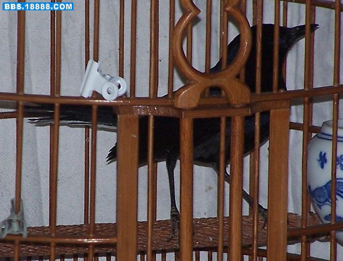 100_8596.jpg