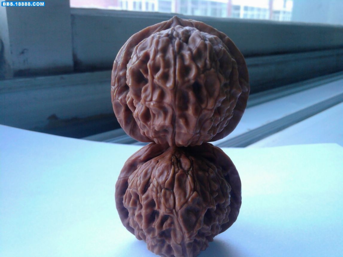 照片-0018.jpg