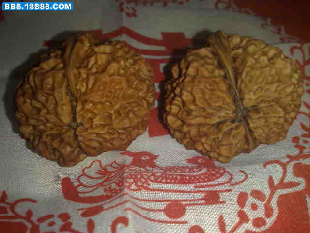 20081223047.jpg