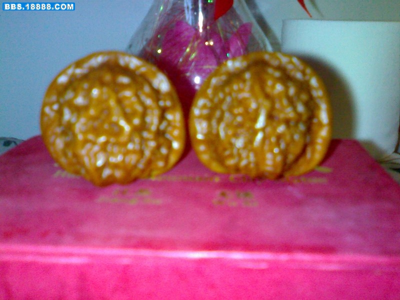 20090210299.jpg
