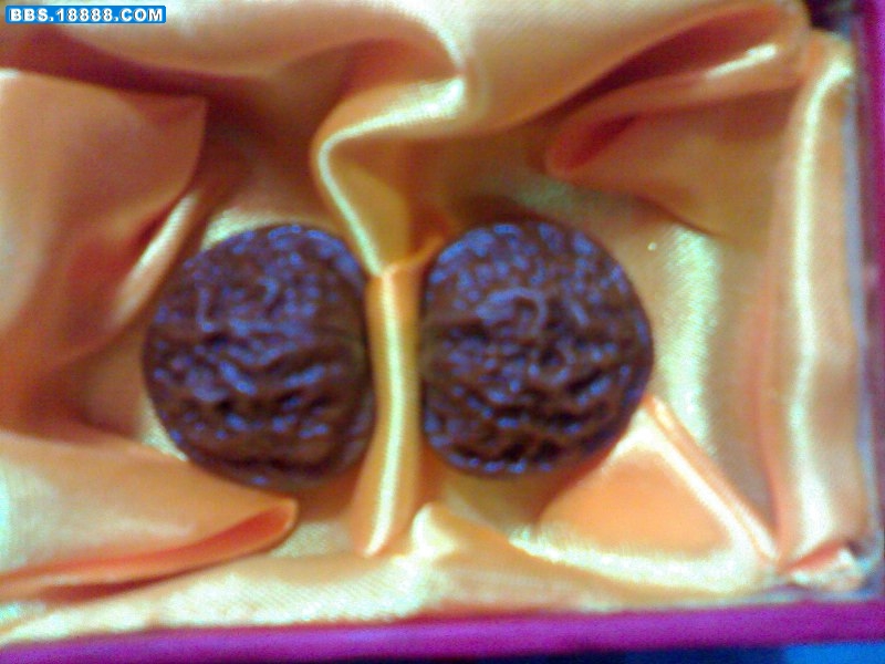 20090210293.jpg