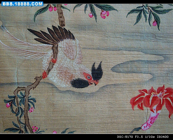 威武春花1.jpg