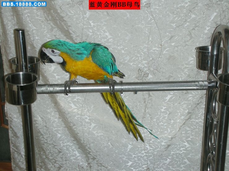 站架 006.jpg