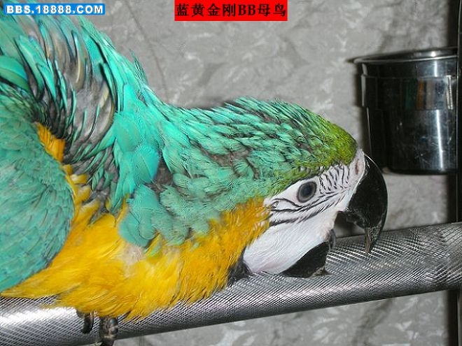 站架 008.jpg